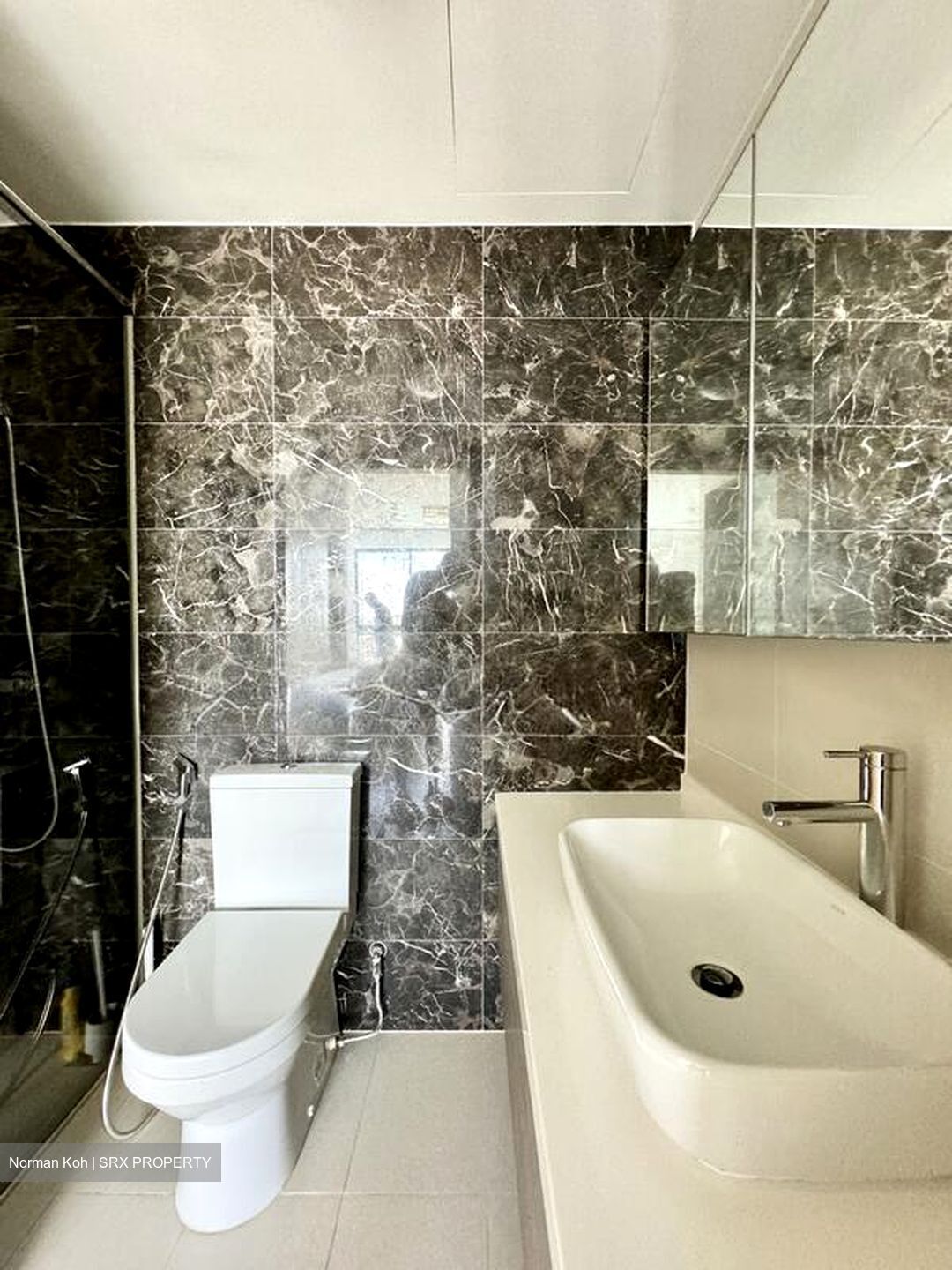 Skies Miltonia (D27), Condominium #495595441